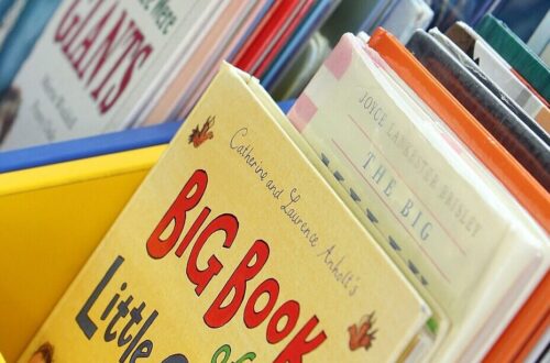 three rows of many picture books